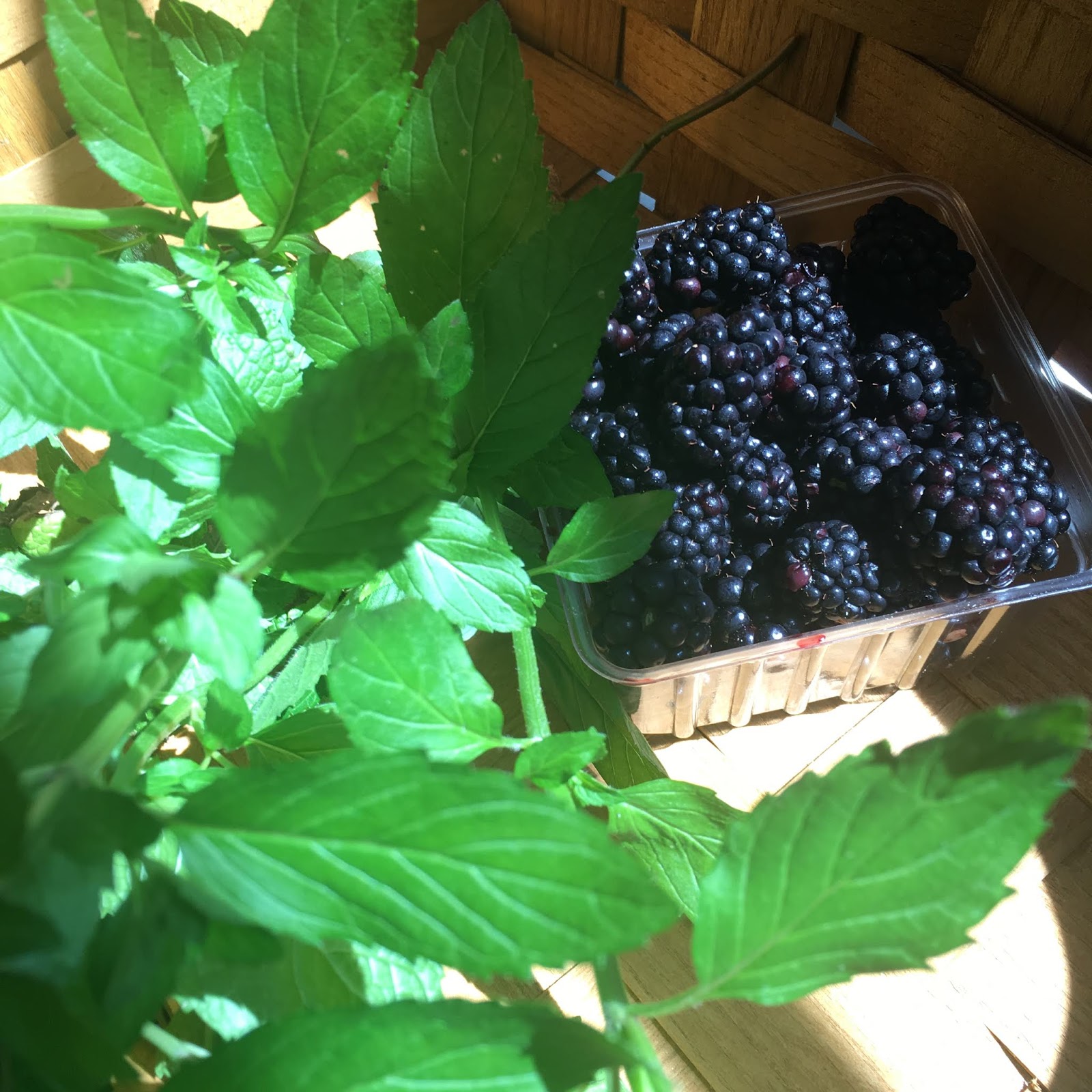 Blackberry Mint Julep and Blackberry Mojito