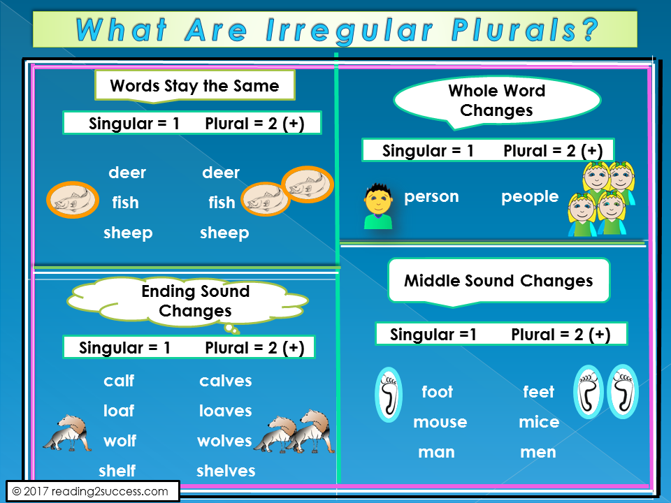 reading2success-irregular-plurals-refernce-charts-practice-pages-and-video
