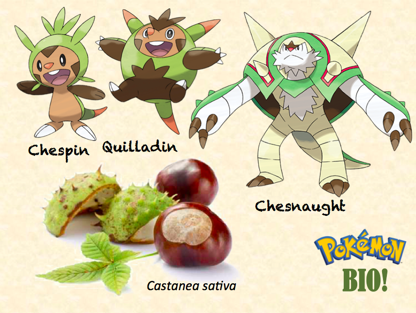 LA CIENCIA DE LA VIDA: La base biológica de los Pokémon tipo Planta