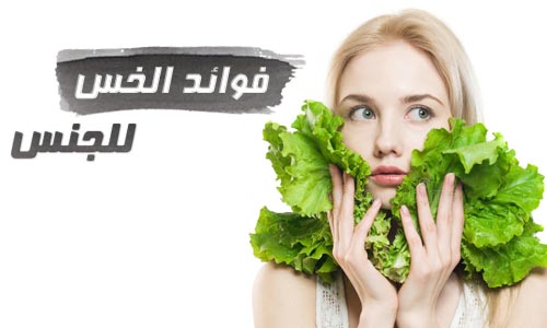 الخس منشط ومقوي جنسي ويثير الرغبة الجنسية للمرأة والرجل