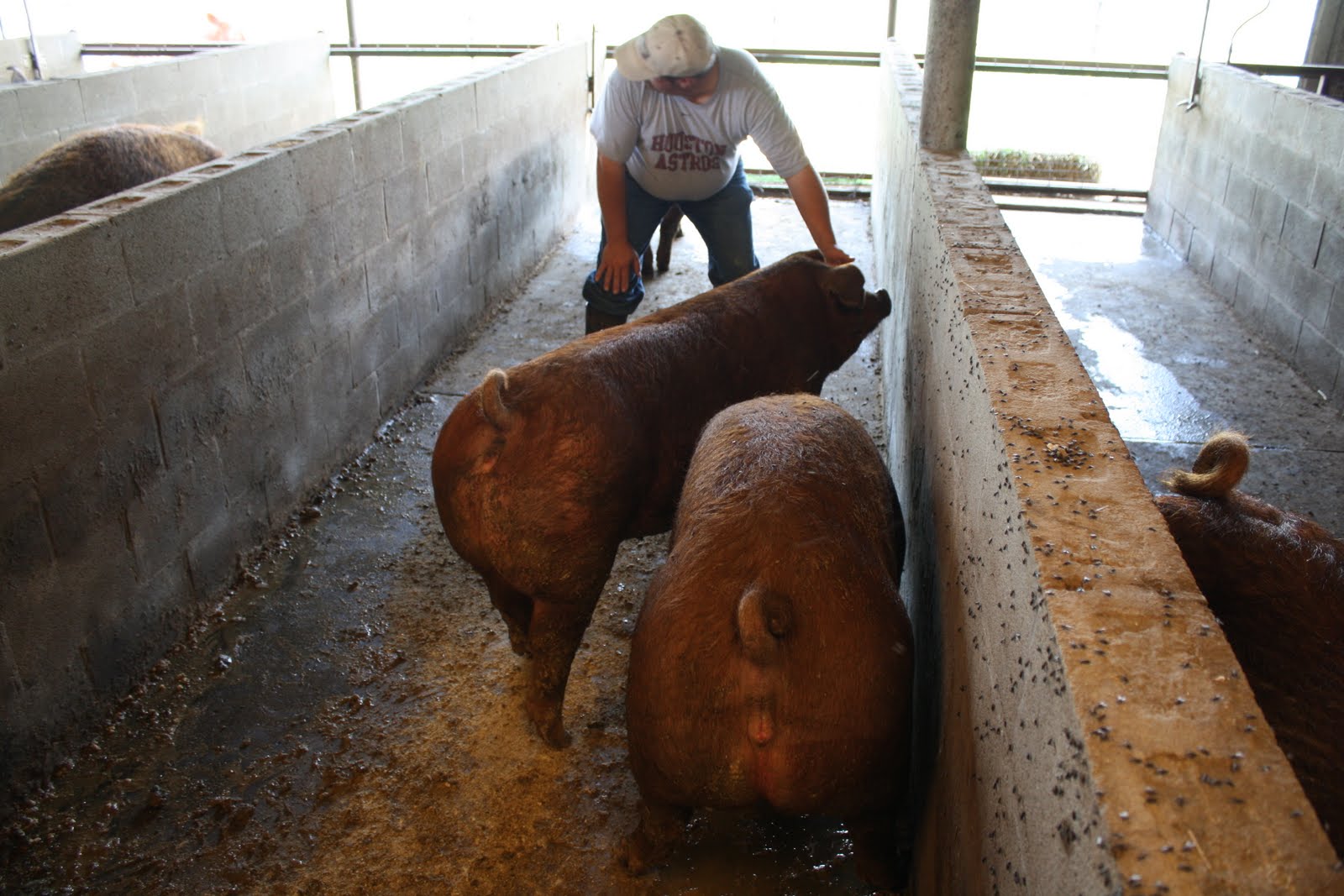 NSR Fieldview Holley Farms