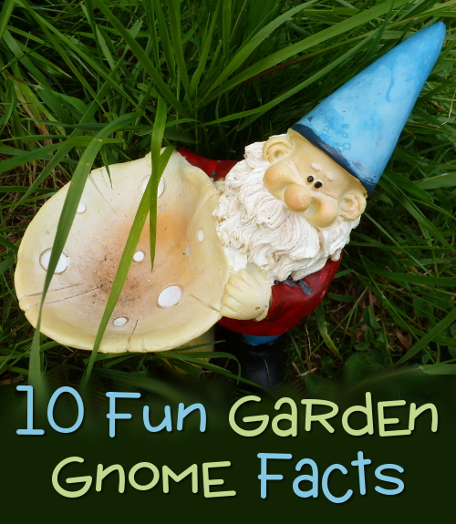 10 Garden Gnome Facts and Fun Information