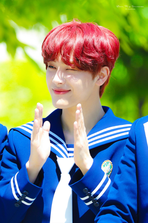 인간체리인지 카드캡터체리인지 체리로 박제된 아이돌 | 인스티즈