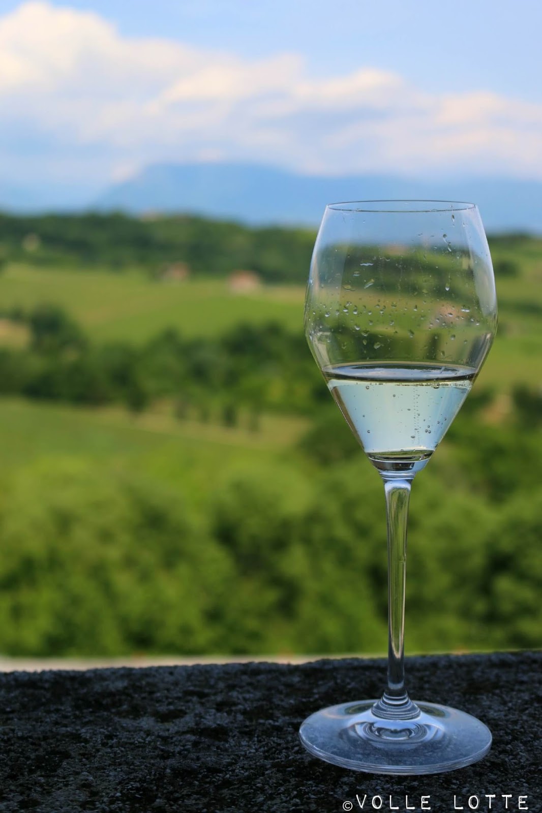 Stars Eaters Juni 2017