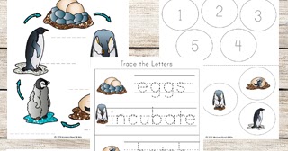 FREE Penguin Life Cycle Worksheets