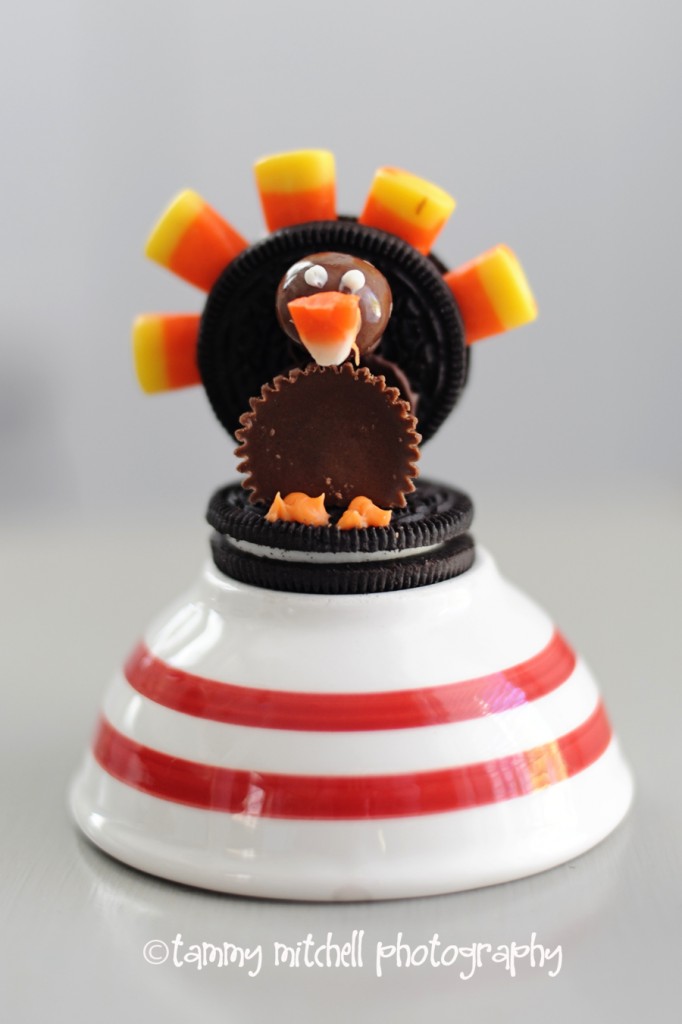 http://www.tammymitchellphotography.com/2011/11/10/make-this-thanksgiving-turkey-cookies/