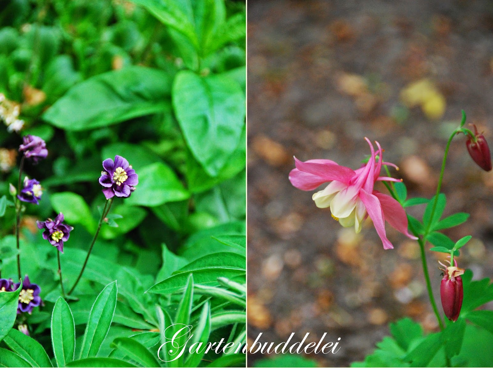Stabilo Fachmarkt Fur Werkzeug Landwirtschaft Garten