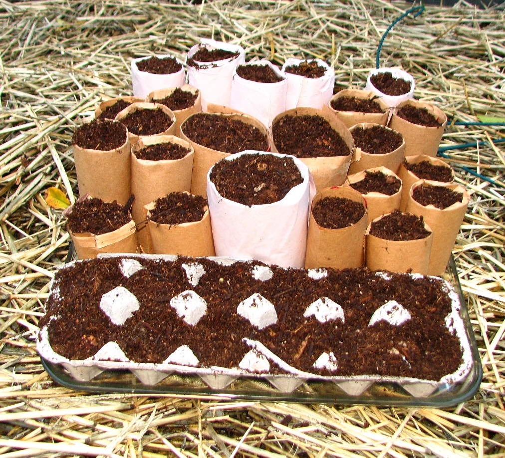 The Evergreen Community Gardens Making paper pots for seed starts.