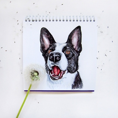 01-1-2-3 Blow-Valerie-Susik-Валерия-Суслопарова-Cats-and-Dogs-Interactive-Animal-Drawings-www-designstack-co