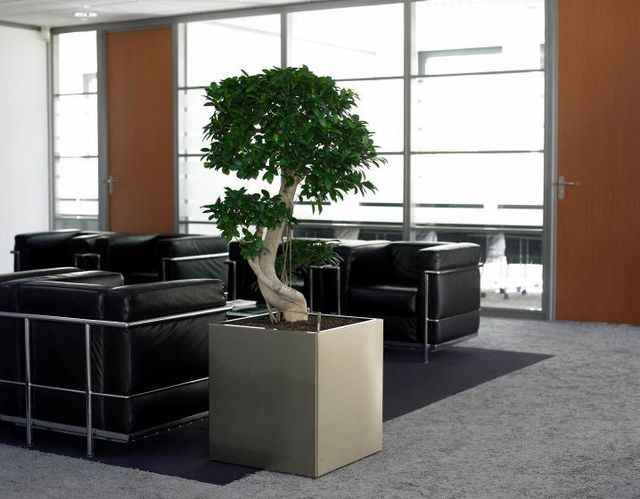 Zen Office Decorating Ideas