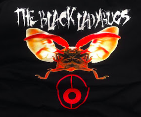 Black Ladybugs - Attack Bug Tee