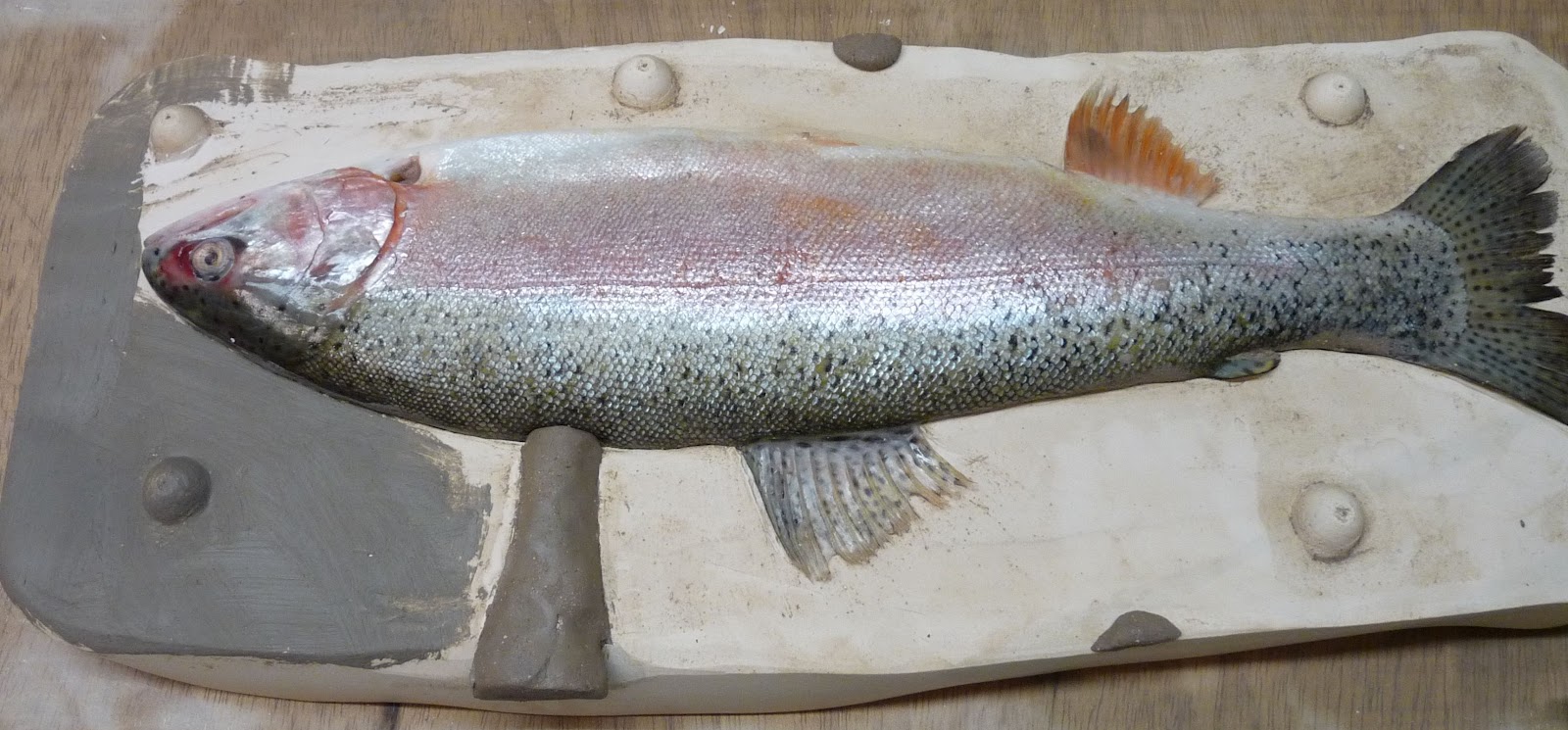 Just Pottering Making a plaster cast of a fish