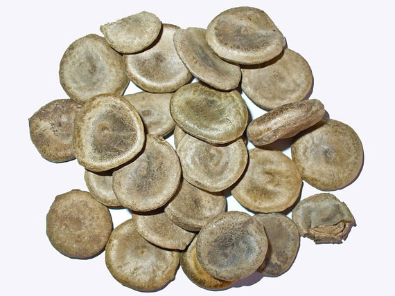 Thai traditional medicine book | ตำราเภสัชกรรมไทย: เภสัชกรรมไทย คณา ... Thai Traditional Medicine Book | ตำราเภสัชกรรมไทย: เภสัชกรรมไทย คณา ...