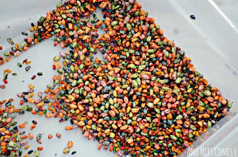How to dye puffed wheat cereal for sensory play from And Next Comes L