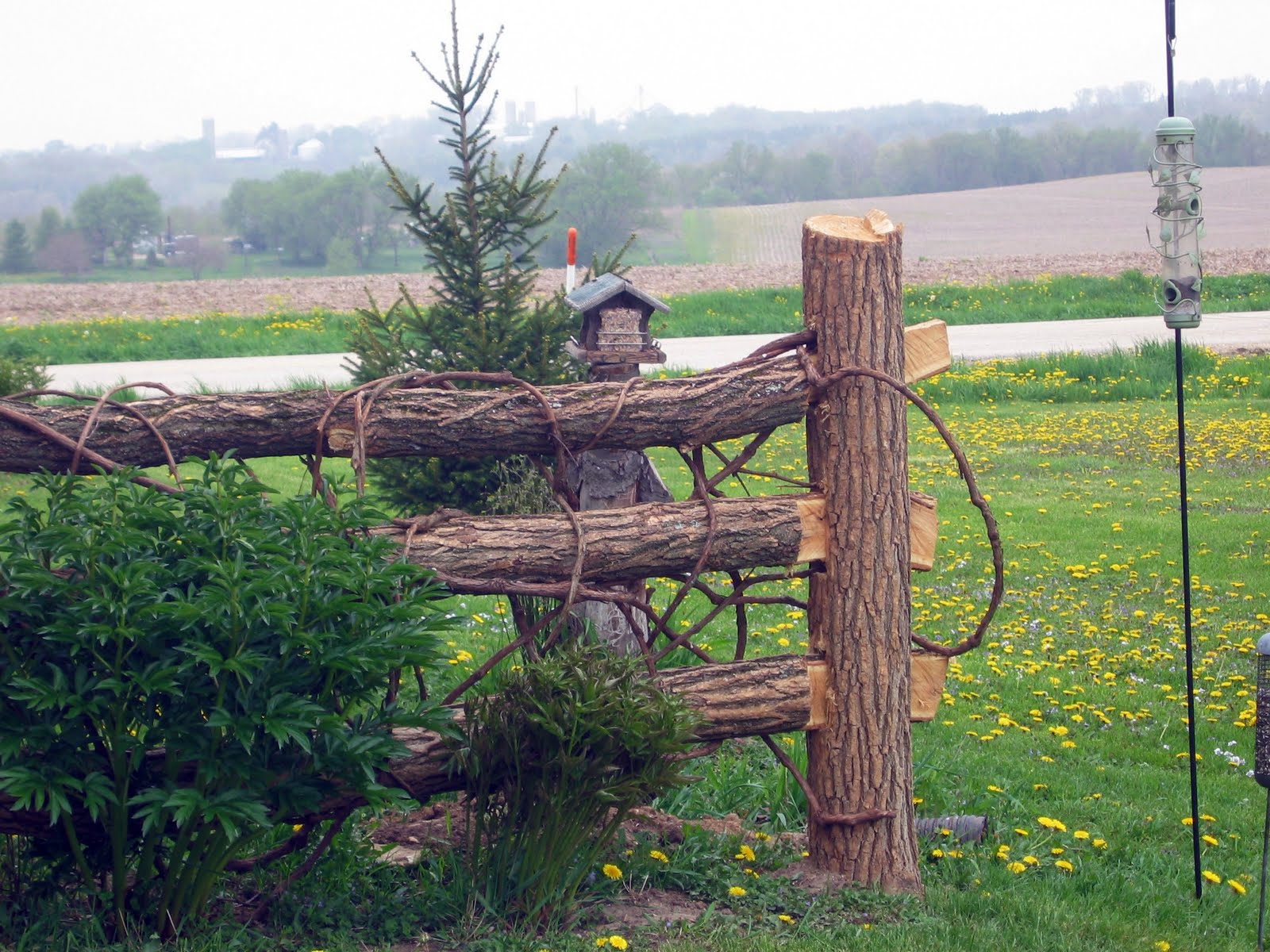 Karla's Veggie Noms Wisconsin Foraging and Beer!