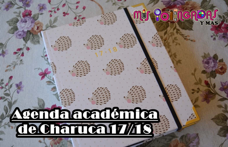 Vídeo y Review | Agenda académica 17-18 de Charuca