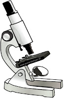 Pengertian, Fungsi Dan Bagian Mikroskop Dan Cara Menggunakan Mikroskop