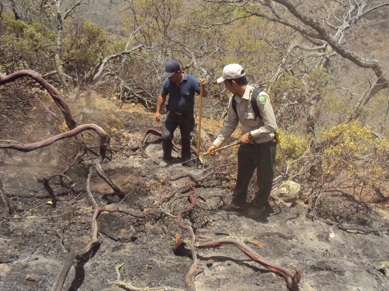 La Grilla: Emite la Secretaría de Medio Ambiente Estatal