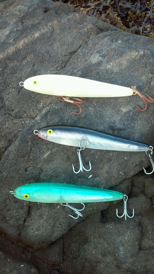 Rhode Island Striped Bass The Hottest Plug Right Now