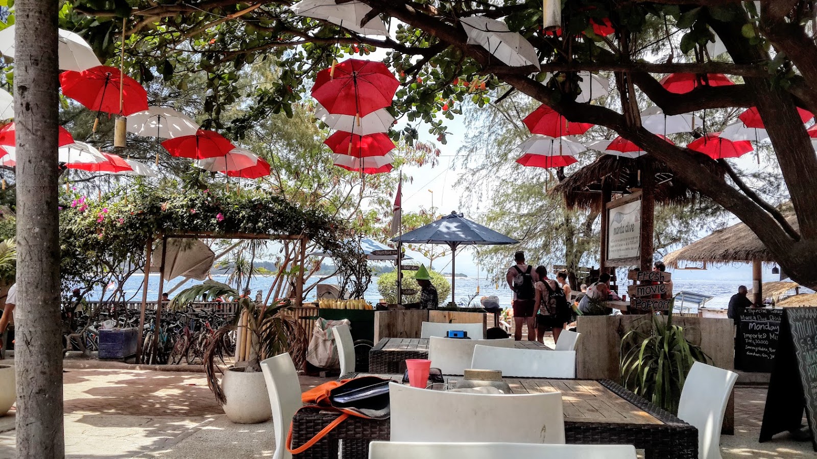 Gili T and Sleeping on Curtains Keen For Korea