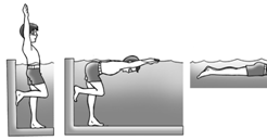 X TKJ COMMUNITY: Gaya Renang Dada