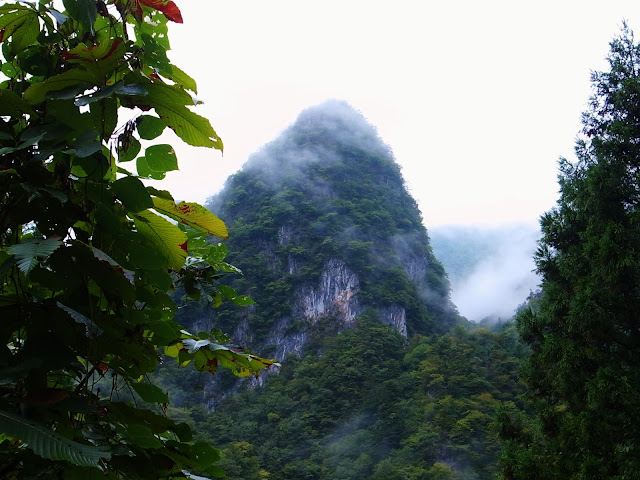 稲村岩