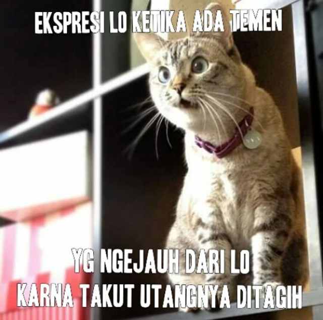 Meme Sindiran Lucu Saat Nagih Utang Humor Lucu Banget