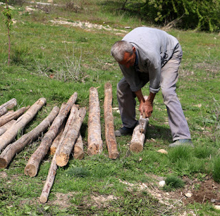 Sally struggling with just the hammer Sally struggling with just the hammer