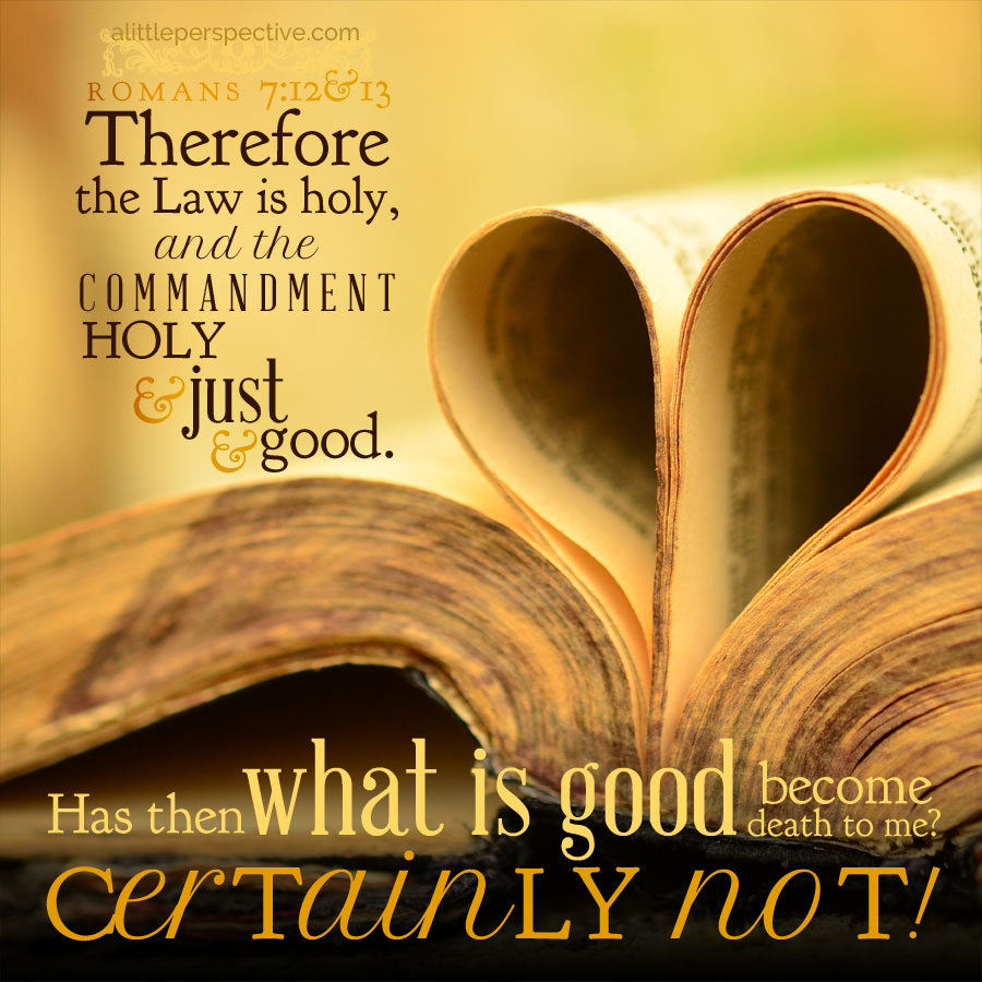 Matthew Dowling The Misuse of God's Law