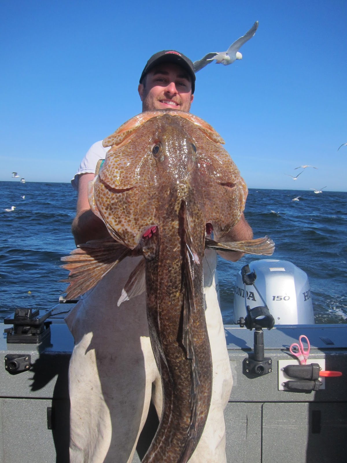 Todds Extreme Fishing Neah bay halibut lingcod and sea bass