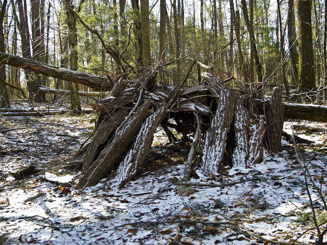 An Improvised Shelter along The Paugusett Trail in Shelton CT An Improvised Shelter along The Paugusett Trail in Shelton CT