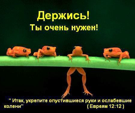 Держись Держись