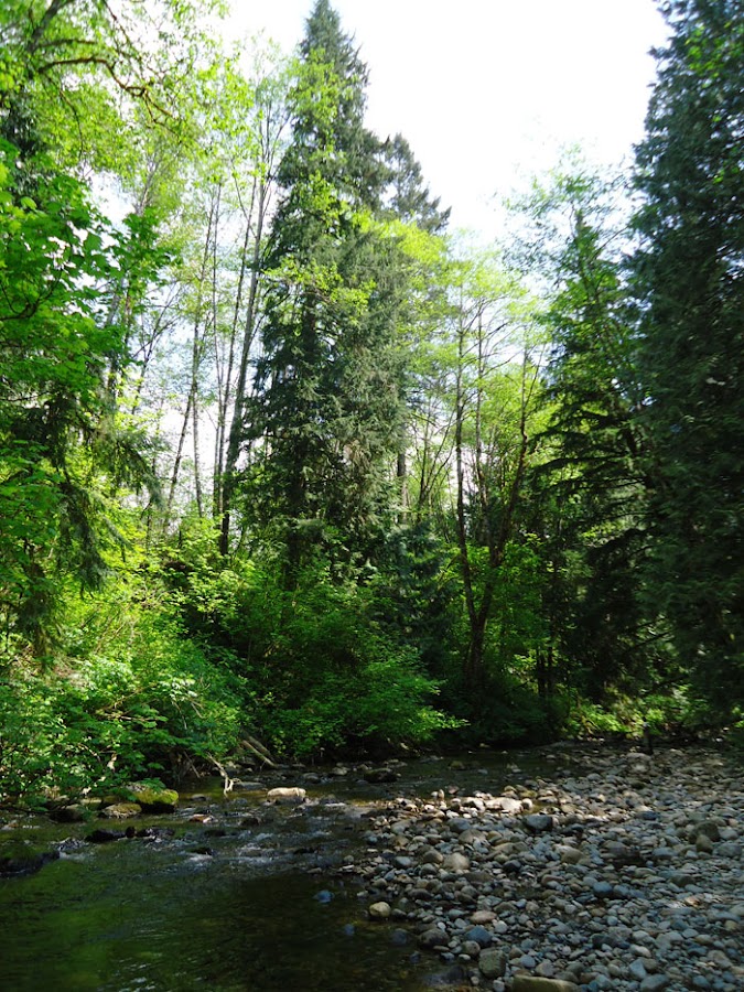 Entrevistas Científicas. Liliana García Bióloga
