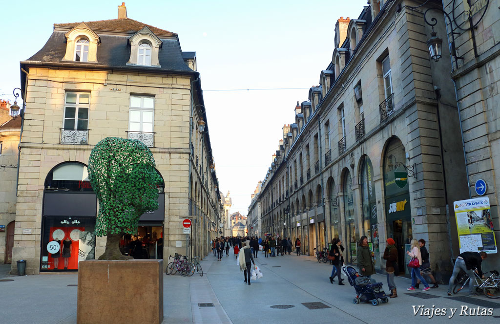 Rue de la Liberté de Dijon