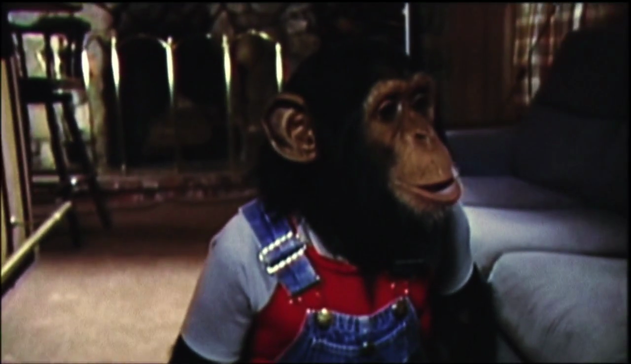 Michael Jackson And Bubbles The Untold Story (2010) Dual Audio 720p