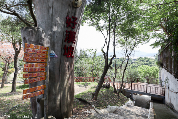 台中新社櫻花鳥森林5千棵蜀葵花、小火車、露營區,平日免費入園 台中新社櫻花鳥森林5千棵蜀葵花、小火車、露營區,平日免費入園
