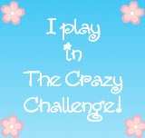 The Crazy Challenges