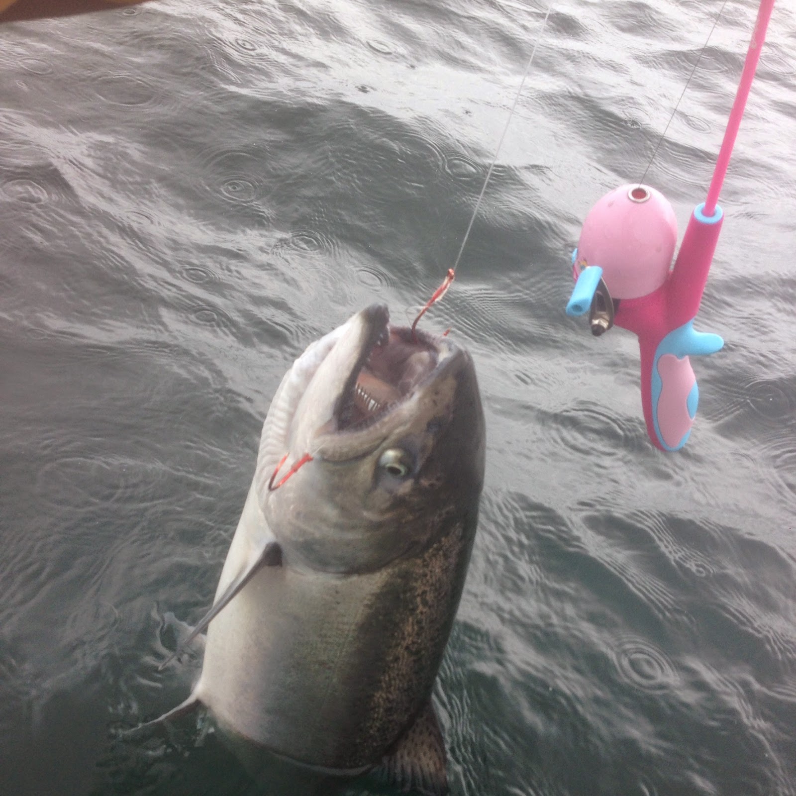 Rudy's Alaska Fishing Blogs: May 2015