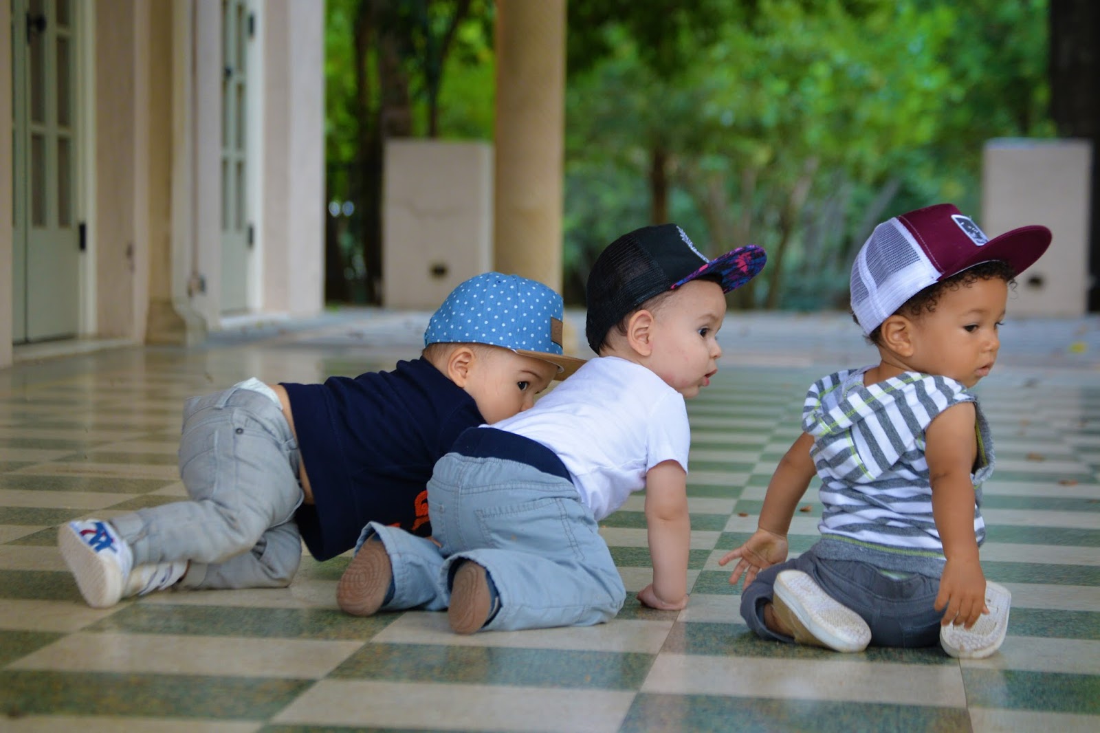 Tedeye Photography Binky Bro Taj, Coronado & California