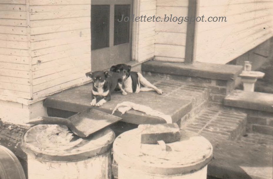 Slade dogs on Tanner Place, Portsmouth, VA 1940s  http://jollettetc.blogspot.com