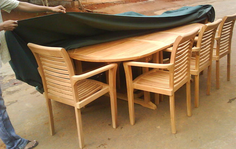 Remove All Stains How To Mold From Furniture How To Remove Mold From Furniture