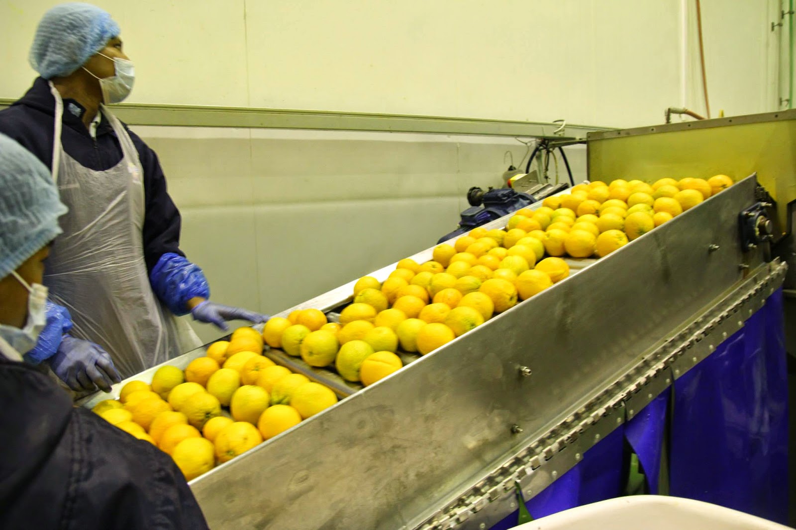 Dubai Adventures Barakat Fresh and Easy Juice Factory — The Thrift