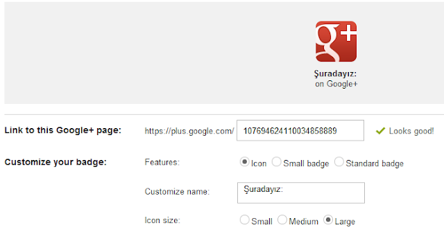 Google + Badge Rozeti