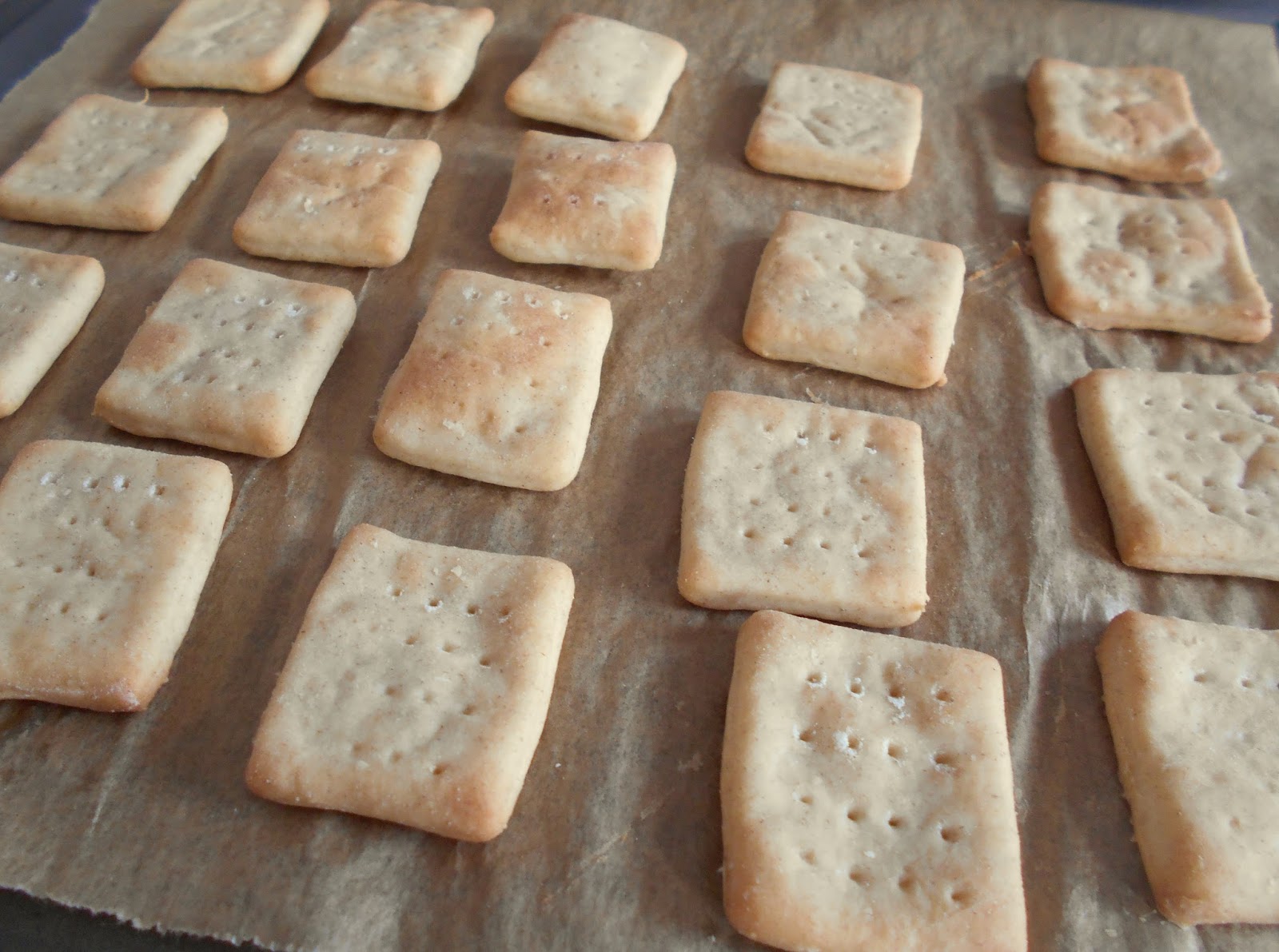 Soured Cream Crackers