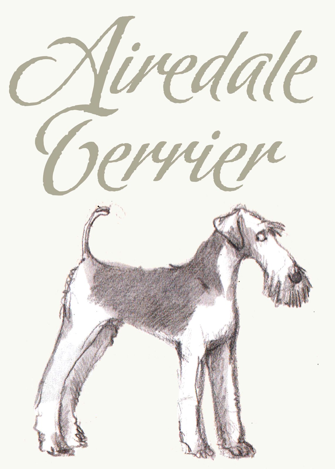https://2.bp.blogspot.com/-IiCUp9O1cSk/UGVz5aN2ucI/AAAAAAAAEBg/oTu8Ts_Ehy8/s1600/Mesero+Airedale+Terrier+copia.jpg