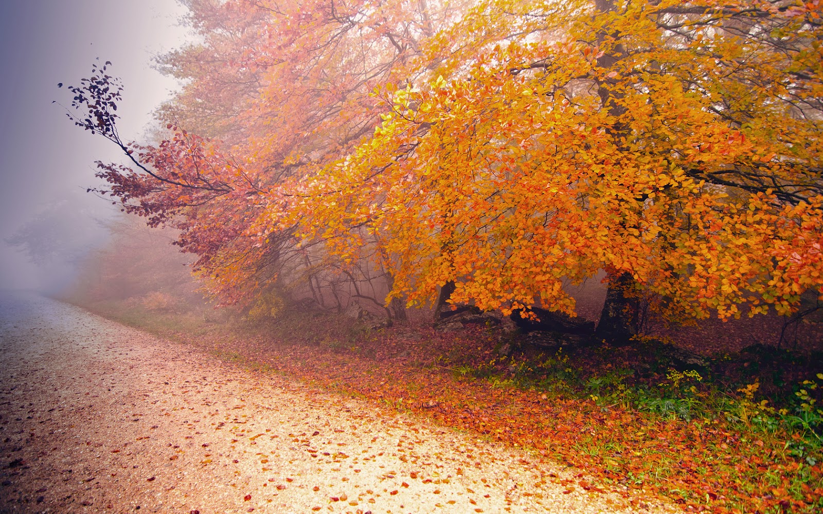 world beautiful sights: dream paradise