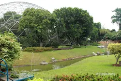 taman burung tmii jakarta