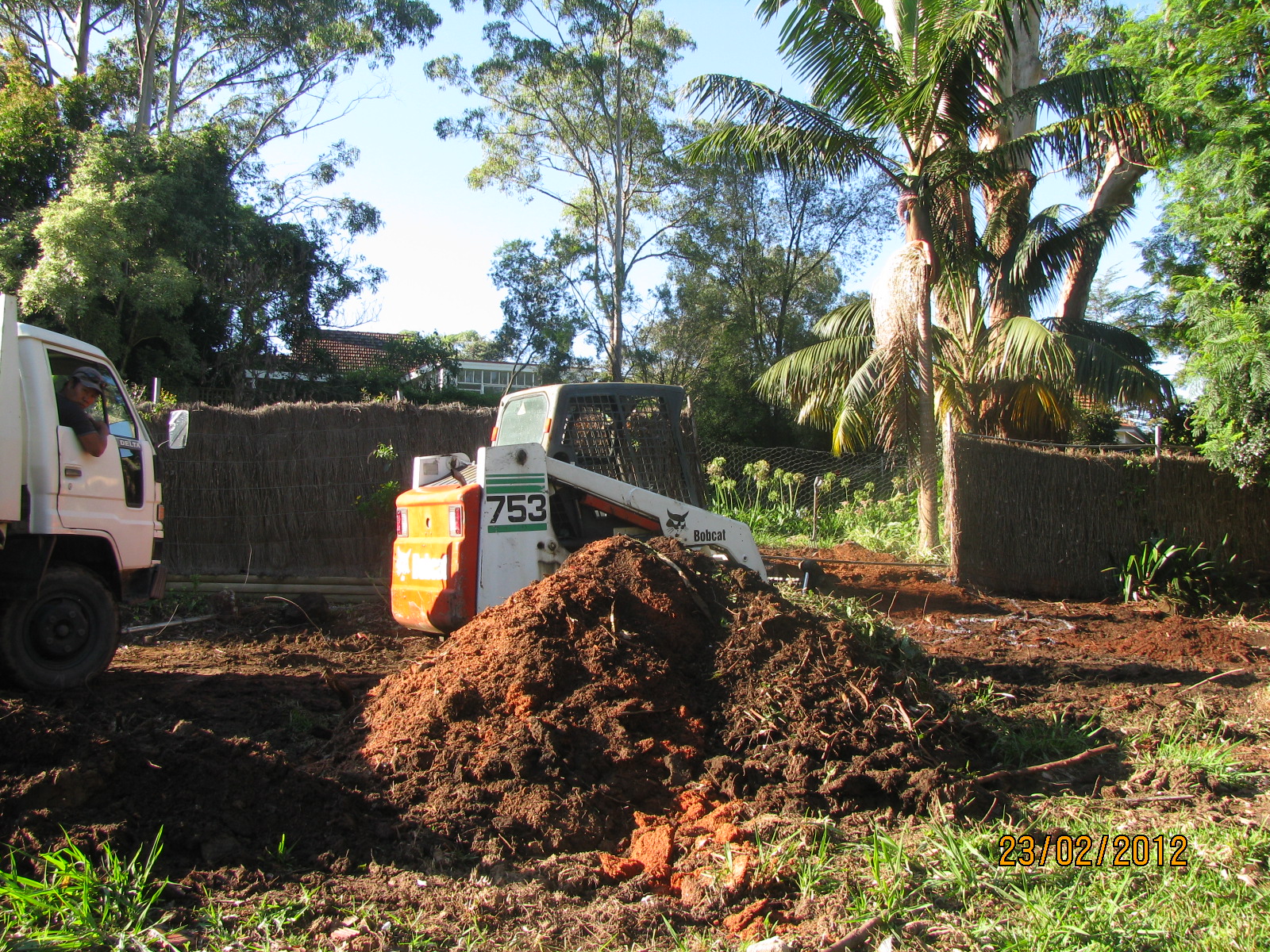 Vienna Dream Journey The remaing last job for the gum tree