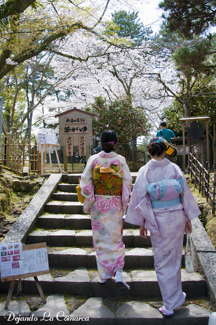 Día 10 - Nara - Osaka - Japón primavera 2016 - 18 días (con bajo presupuesto) (2)