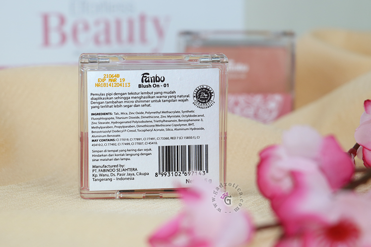 Fanbo Blush On Review